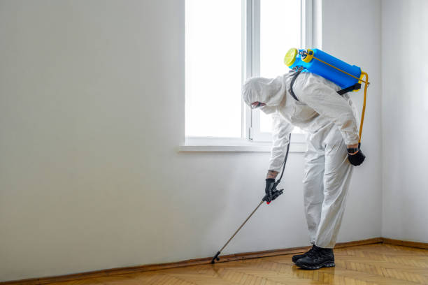 Best Pest Control for Homes  in San Marino, CA