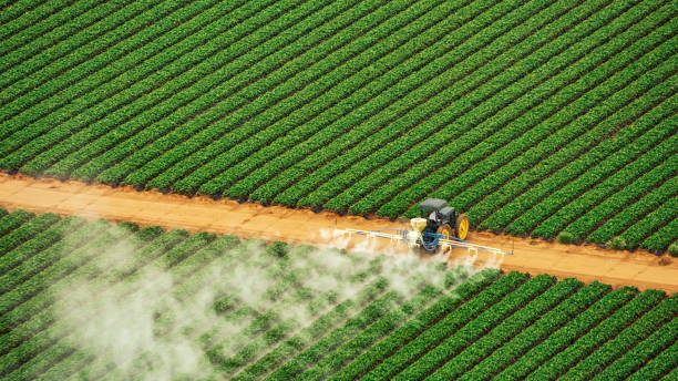 Best Mosquito Control Services  in San Marino, CA