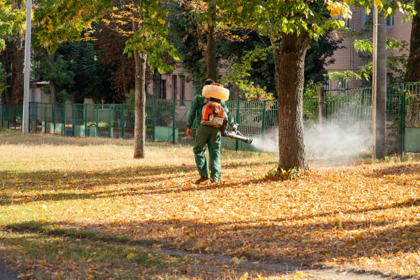 Pest Prevention Services in San Marino, CA